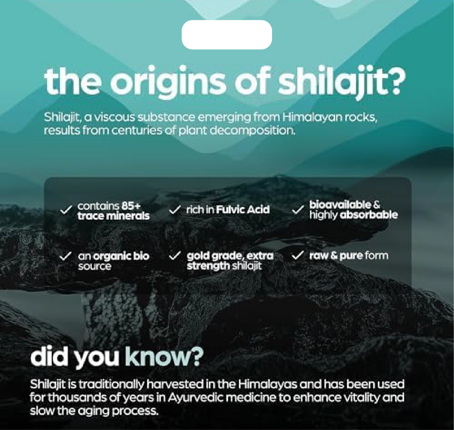 Vitality Bundle (MACCA + SHILAJIT) | 120 Capsules