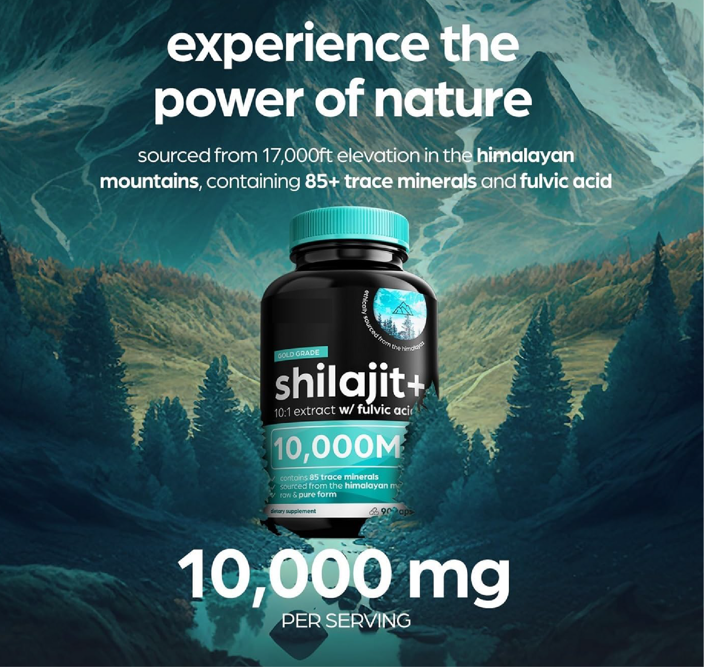 Vitality Bundle (MACCA + SHILAJIT) | 120 Capsules
