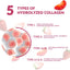 Collagen Gummies for Women – Sugar Free, Biotin, Vitamins & Multi-Type Support for Skin, Hair & Joints