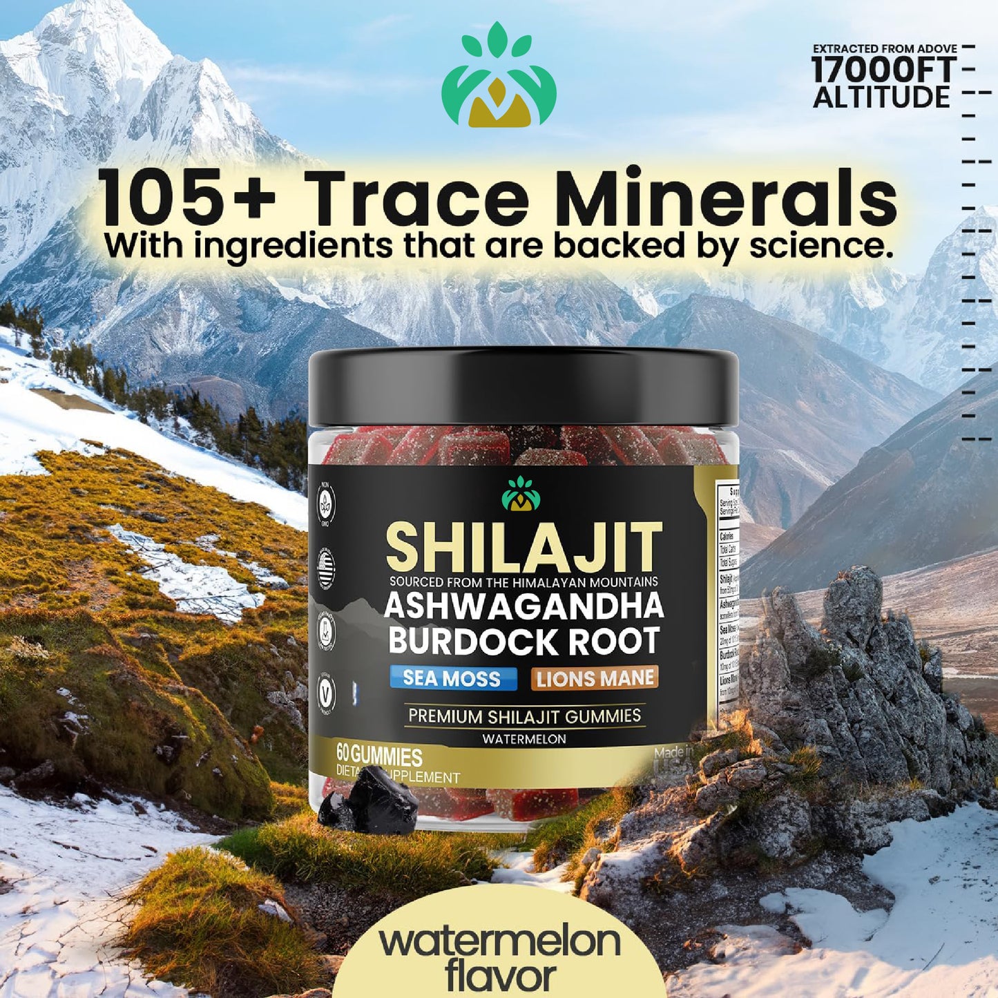 Organic Shilajit Gummies – Natural Vitality Blend